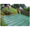 Willingen SS 2012 13.JPG